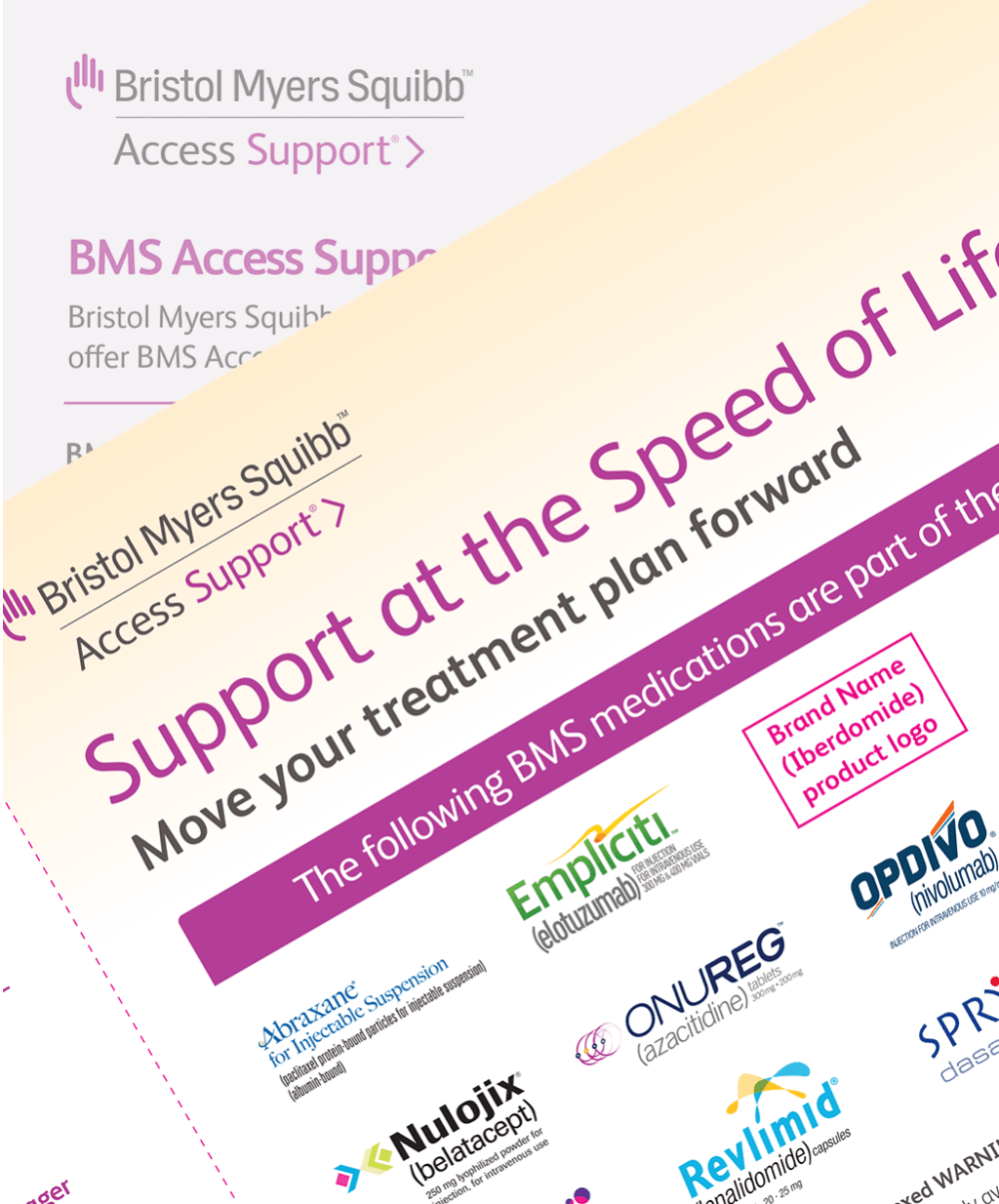 BMS Access Support Print